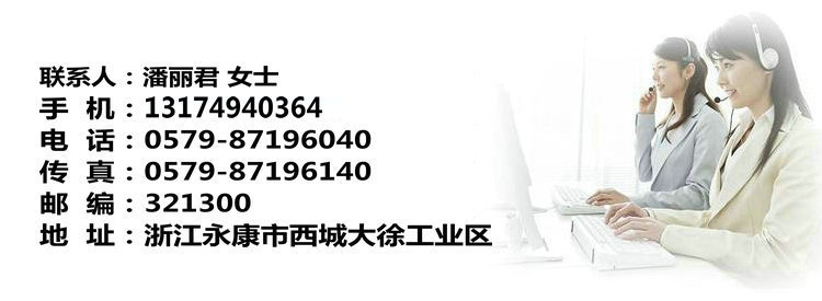 哈瑞斯新款15L商用電動(dòng)不銹鋼灌腸機(jī)灌熱狗機(jī)家用灌香臘腸機(jī)