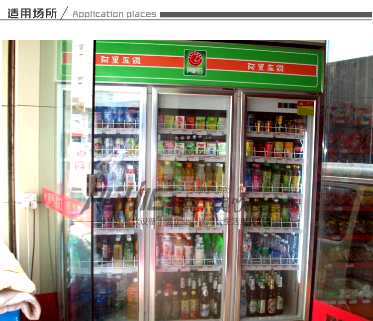 便利店飲料柜 雙門立式展示柜 商用冷藏柜 冰箱水果保鮮柜 合肥